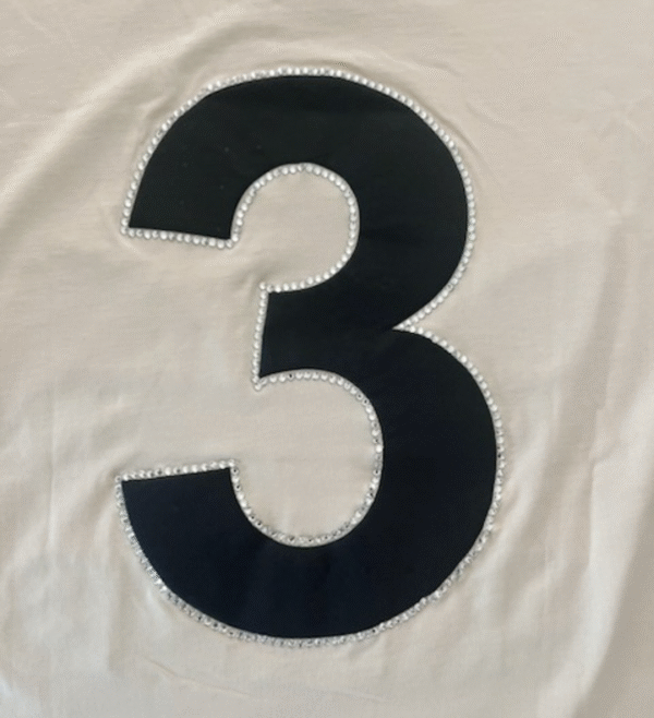T-Shirt Adidas Iconic 1963 color gesso